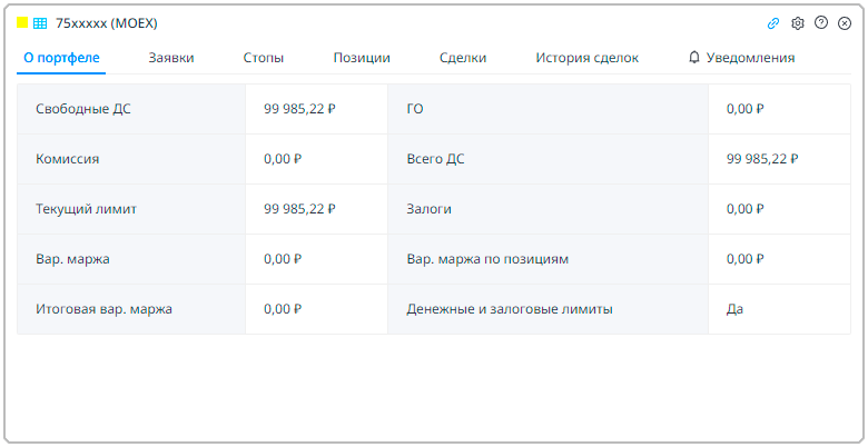 Пример вкладки О портфеле для срочного рынка. Строки в таблице перечислены ниже.